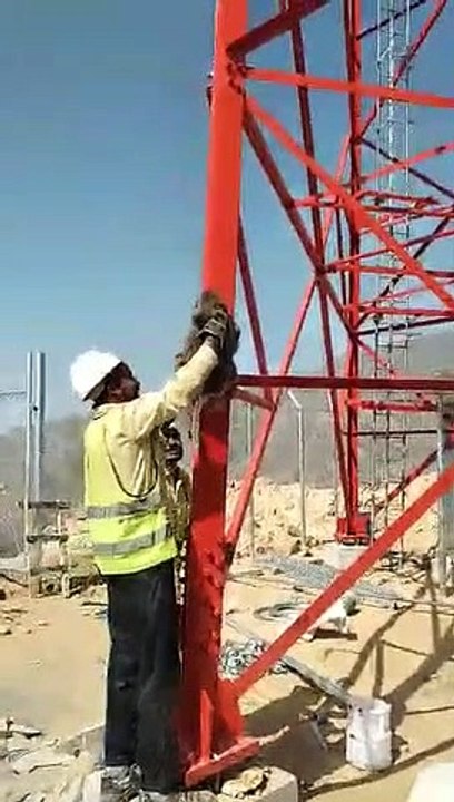 The Monkey Climbed to Mobile Tower From  the Tower Worker Hand Due to  Expension of Corona Virus?