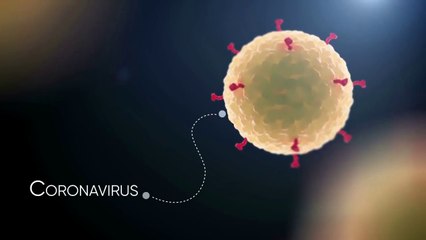 URGENT Update on the Coronavirus and Bible Prophecy