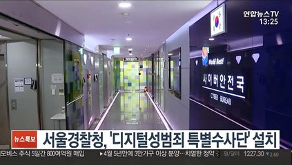 서울경찰청, '디지털성범죄 특별수사단' 설치