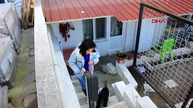 MUĞLA HAYVANSEVERLERDEN KORONAVİRÜS TEDBİRİ