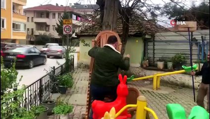 Ağaçta mahsur kalan hamile kedinin yardımında esnaf yetişti