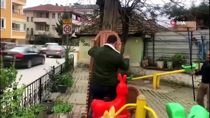 Ağaçta mahsur kalan hamile kedinin yardımında esnaf yetişti