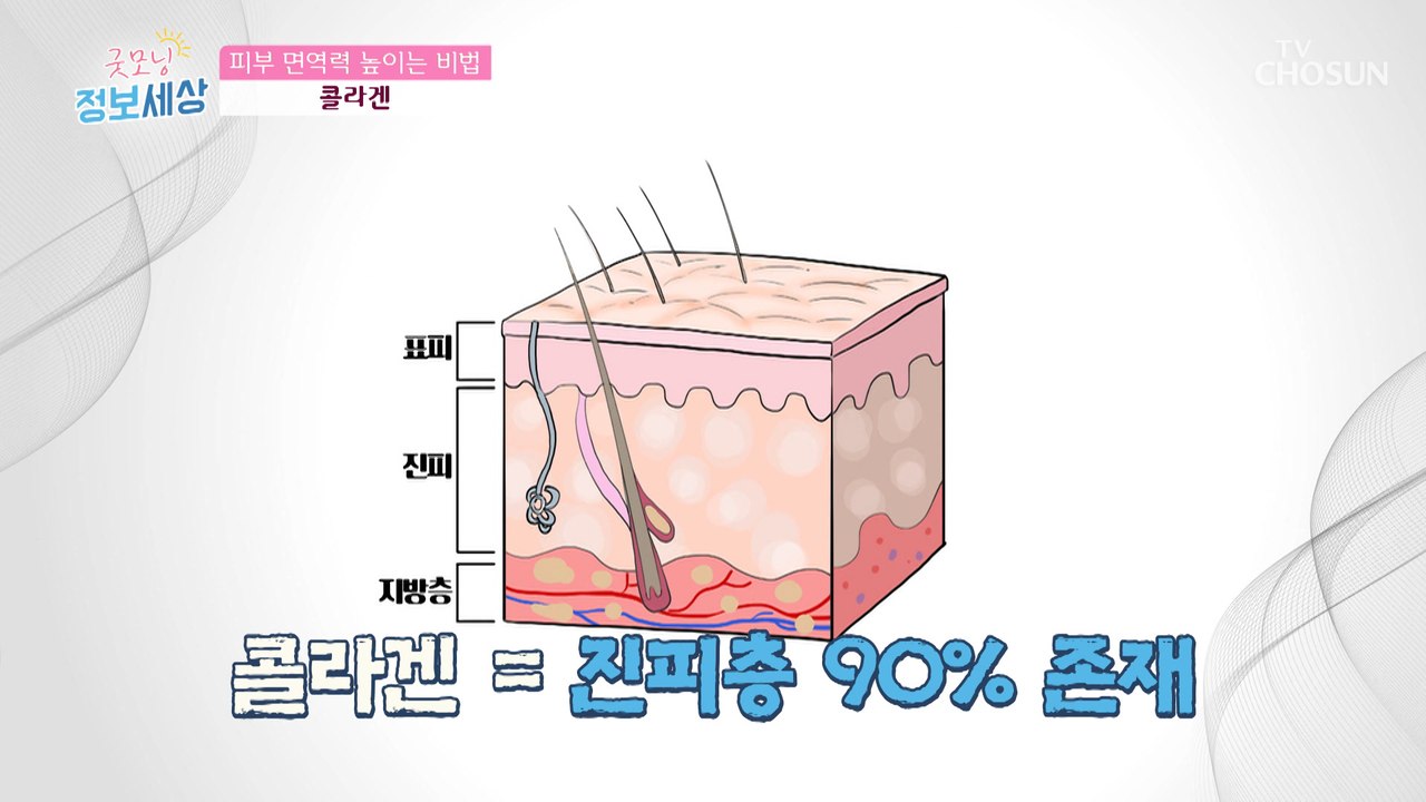 제대로 알자 ※피부 면역력 지킴이 ‘콜라겐’※