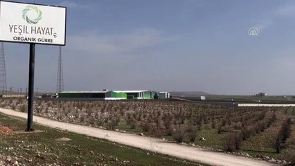 Şanlıurfa'da üretilen organik gübre yurt dışına satılıyor