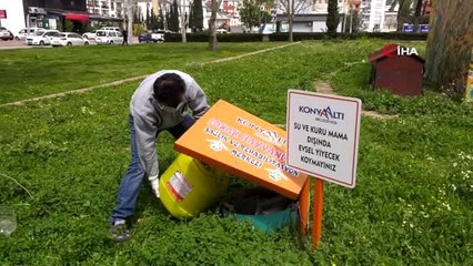 Sokak hayvanları için özel ekip kuruldu