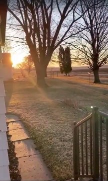 Une femme qui a l’habitude de saluer un bus devant sa porte chaque matin reçoit une surprise des enfants pour son anniversaire.