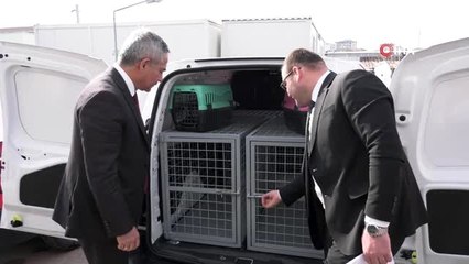 Büyükşehir'in hayvan nakil araç filosu genişliyor