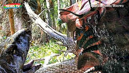 Rhizodus hibberti: Quái vật kinh hoàng của kỷ Carbon