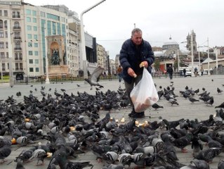 Taksim Meydanı kuşlara kaldı