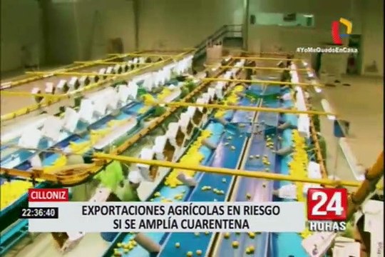 Fernando Cillóniz: Exportaciones agrícolas en riesgo si se amplía cuarentena
