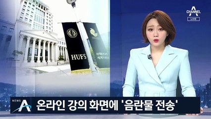 온라인 수업 중 화면에 ‘음란물 전송’…교수 강의 배제