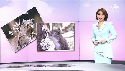 [뉴스A 클로징]‘벚꽃엔딩’ 대신 공포영화가 인기인 3월