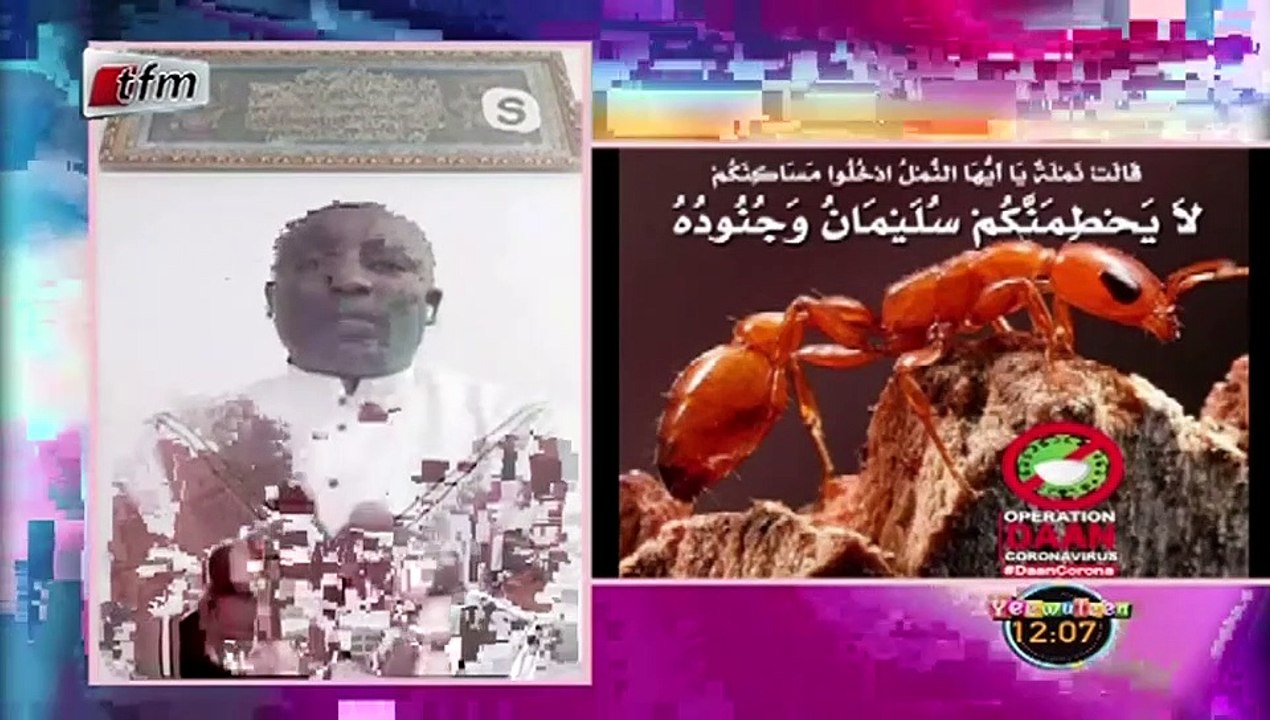 TÉLÉ-TRAVAIL avec OUSTAZ ASSANE SECK dans YEEWU LEEN du 26 Mars 2020