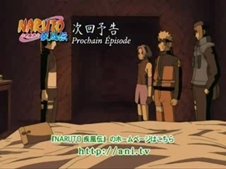 Naruto shippuuden 48 vostfr