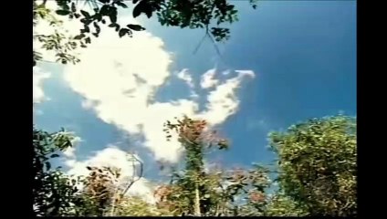 Chamas da Vida Cap 104