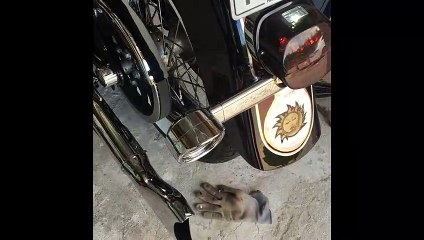 Sharktail Freedom performance avec laine de céramique sur chicanes