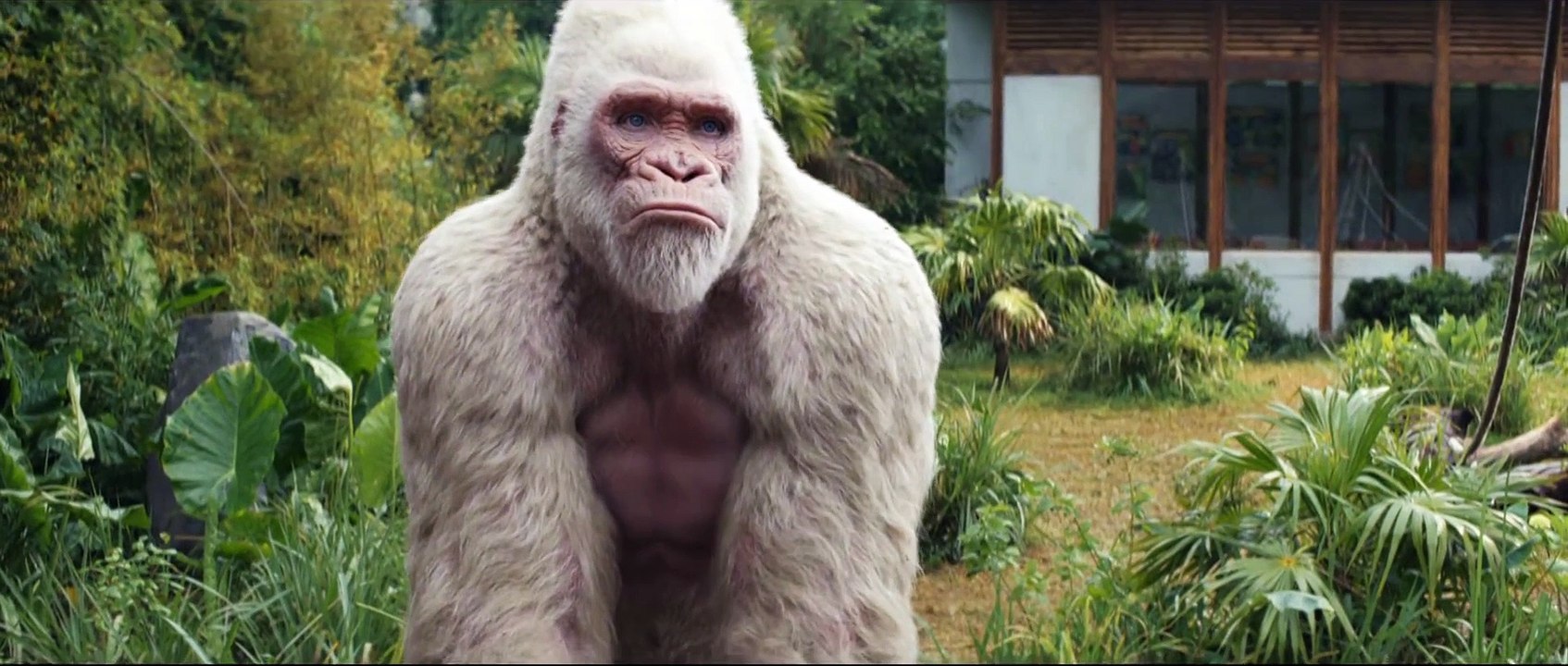 Rampage - Trailer
