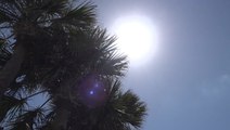 Heat wave hitting the Sunshine State