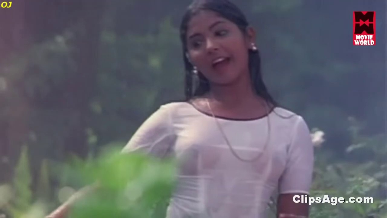Young Nithya on transparent blouse