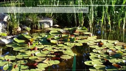 A vendre - Maison - Forel (1072) - 7.5 pièces - 400m²