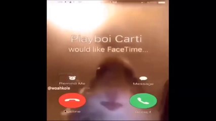 Hamster Looking At Camera Meme Compilation