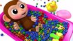 Lernen Sie Farben Baby Affe Futball Bad Zeit Fingerlied Kinderlieder Für Kinder