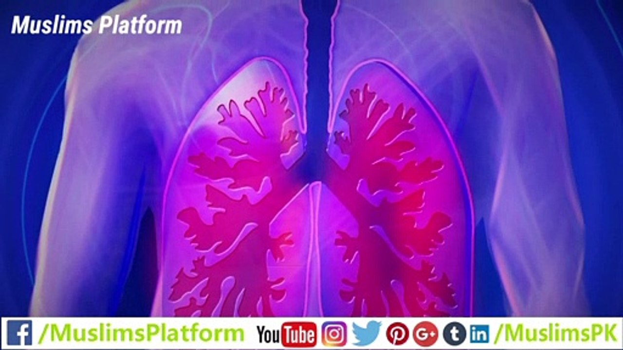 Complete information about Corona Virus in Urdu - Coronavirus explained by MuslimsPK_kzOjbY7saIs_1080p