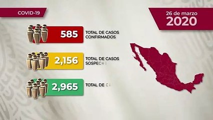 Reporte diario covid 19