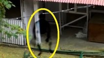 Real Ghost Sightings Captured On CCTV Outside Old Haunted House