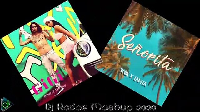 Rina x Sin boy & Gigi & Snik x Tamta - Senorita (Dj Rodoe Mashup 2020) -  video Dailymotion