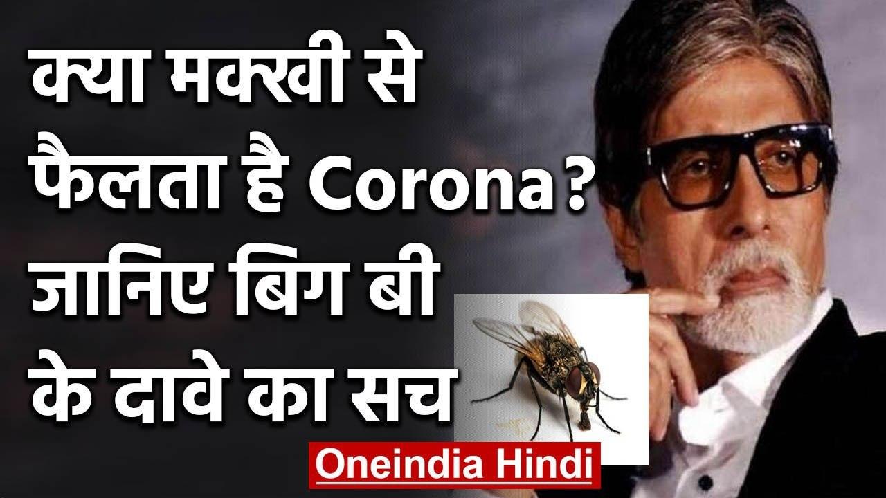 Coronavirus:Amitabh Bachchan बोले-  मक्खी से फैलता है Corona,जानिए क्या है हकीकत | वनइंडिया हिंदी