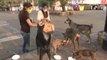 Viral Video : Two Sister Feeding Street Dogs In Nagpur During Lockdown
