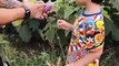 Salman Khan, Ahil Sharma and Aayush Sharma Farming - CUTEST VIDEO - Panvel Farmhouse