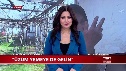 Tevhide Nine: Üzüm Yemeye de Gelin