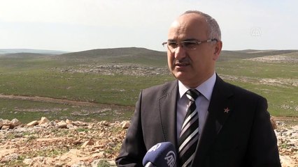 Doğaya bırakılan ceylanlar sıkı şekilde takip ediliyor - ŞANLIURFA