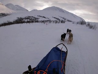 Brad Parsk's mushing adventure