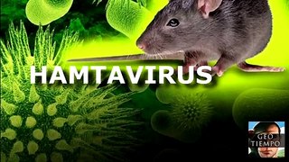  HANTAVIRUS - síndrome pulmonar 