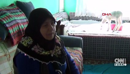 Kuzularına yem istedi, torun sanıp gıda getirdiler