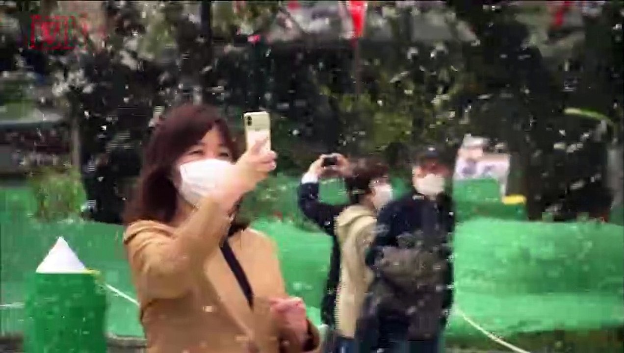 Tokyo Cherry Blossom Festival Has Less Crowds Amidst Pandemic, Still Too Many