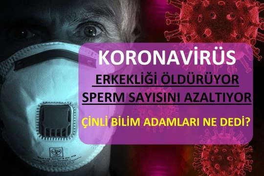 Koronavirüs erkekliği öldürüyor mu? Koronavirüs sperm sayısını azaltıyor mu? Corona virüs ve erkeklik hormonu ilişkisi! Çinli Bilim Adamları Açıkladı
