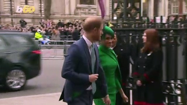 Prince Harry and Meghan Markle Could Have Fancy Neighbors if They Move to Malibu