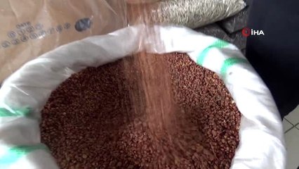 Korona virüse iyi geldiği iddia edildi, 10 yılda satamadığı sumağı 2 günde tüketti