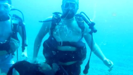 Antalya'da Akdeniz ekosisteminde nadir görülen denizanası görüntülendi