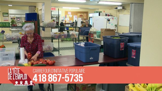 La Tête de l'Emploi | Bénévoles recherchés au Bas-St-Laurent, dans Charlevoix et au Nouveau-Brunswick