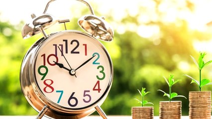 Canela En Polvo Para Atraer Dinero Y Éxito A Tu Vida