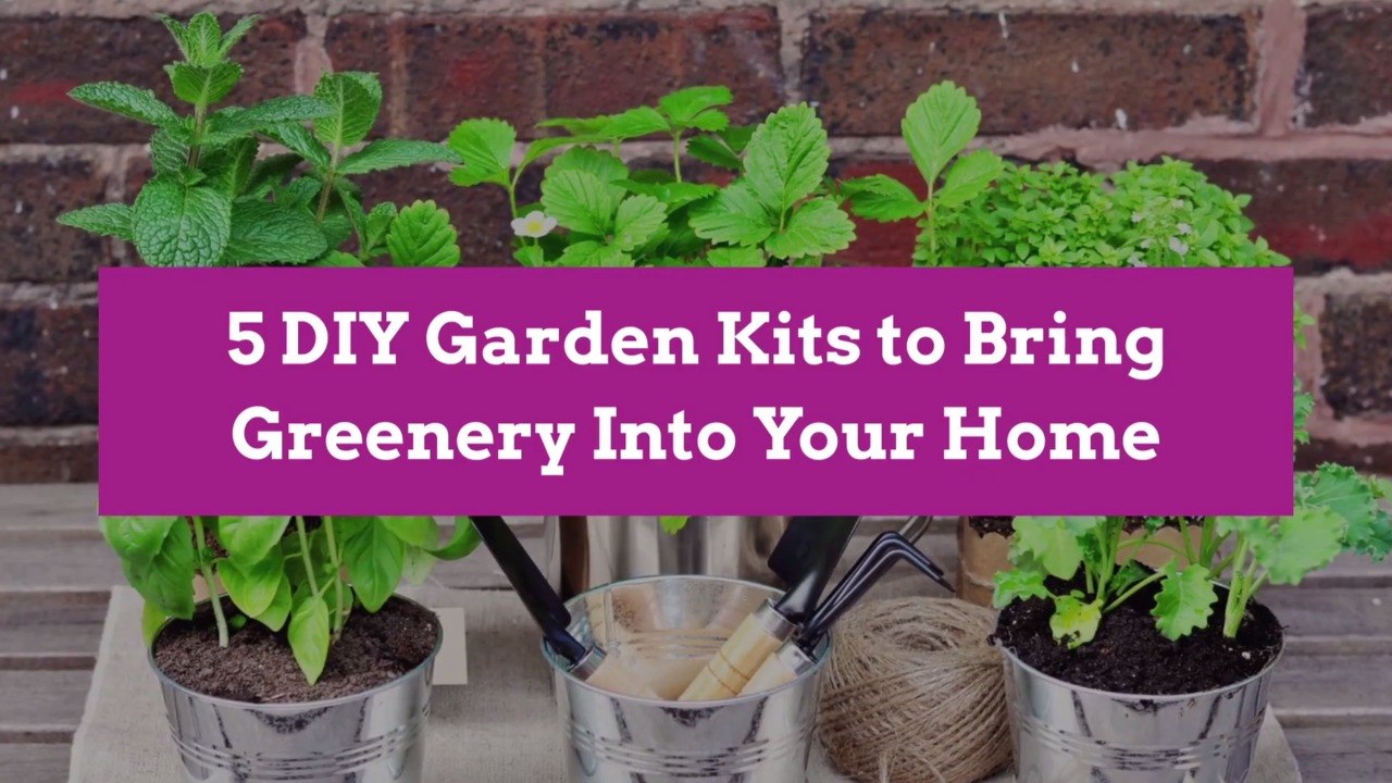5 DIY Garden Kits to Bring Greenery Into Your Home