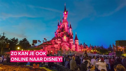 Zo kan je toch van Disneyland genieten!