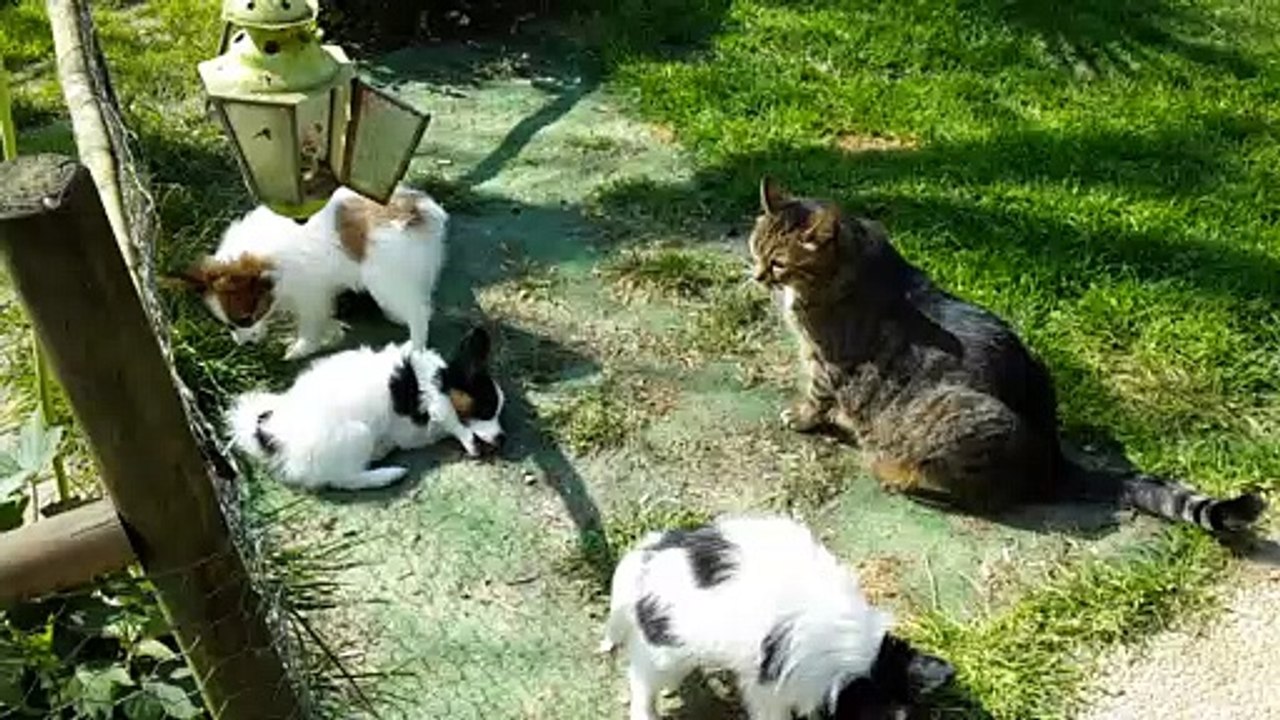 La sortie du jour