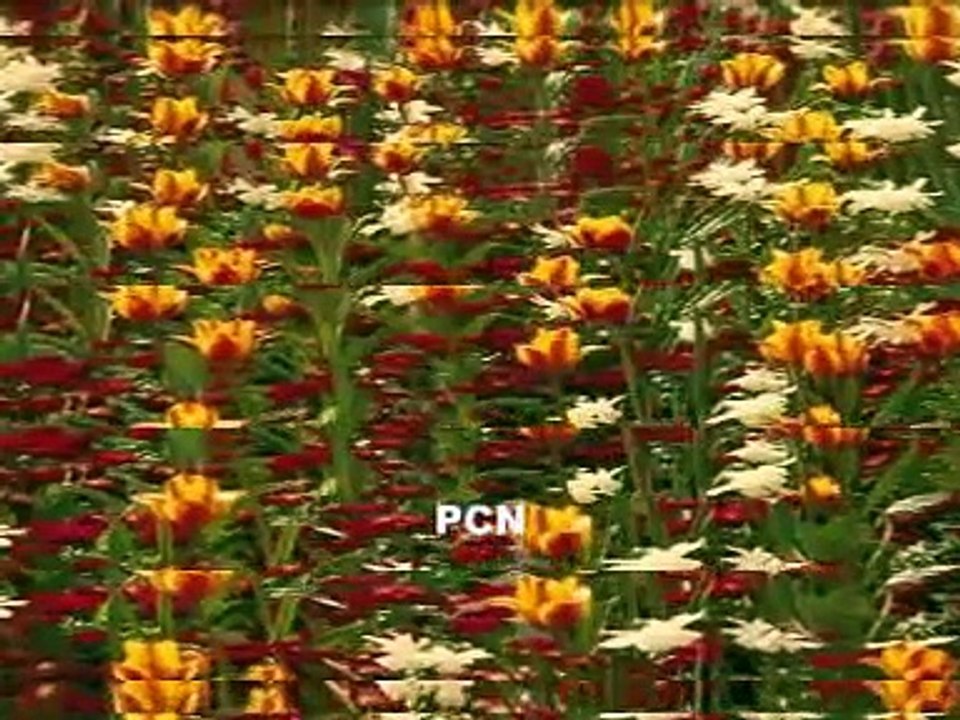 Asi Rab De Bandy Han || Christian Songs in Urdu and Hindi