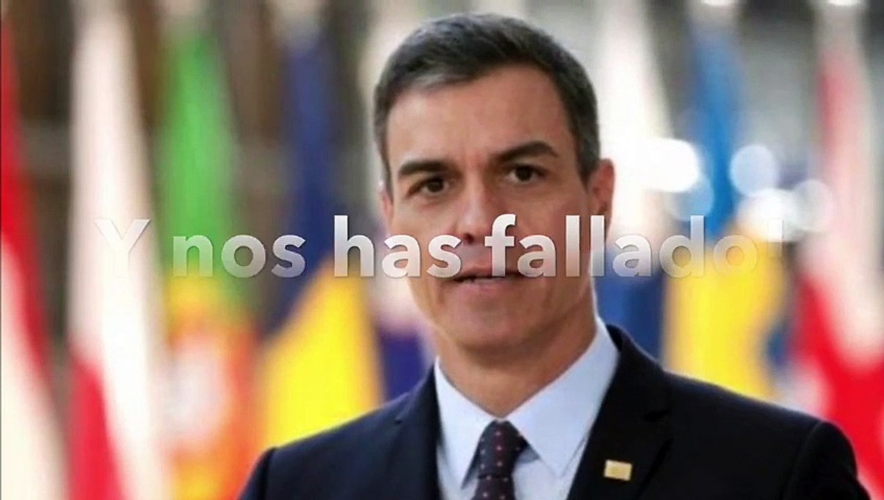 El demoledor vídeo de un socialista contra Pedr...